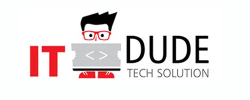 IT Dude
