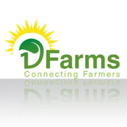 19 Farms Logo